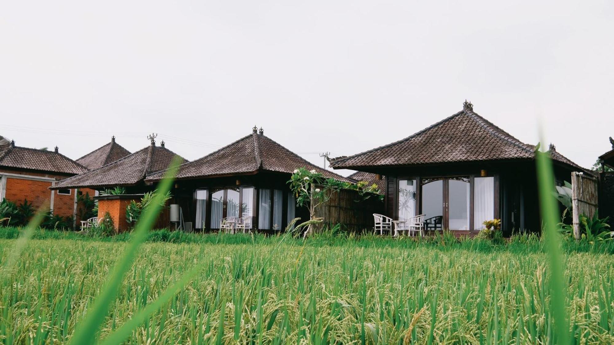 Kayangan Villa Ubud Tegallalang  Exterior photo