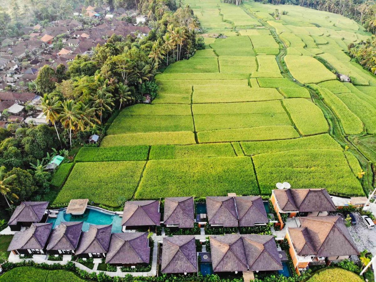 Kayangan Villa Ubud Tegallalang  Exterior photo